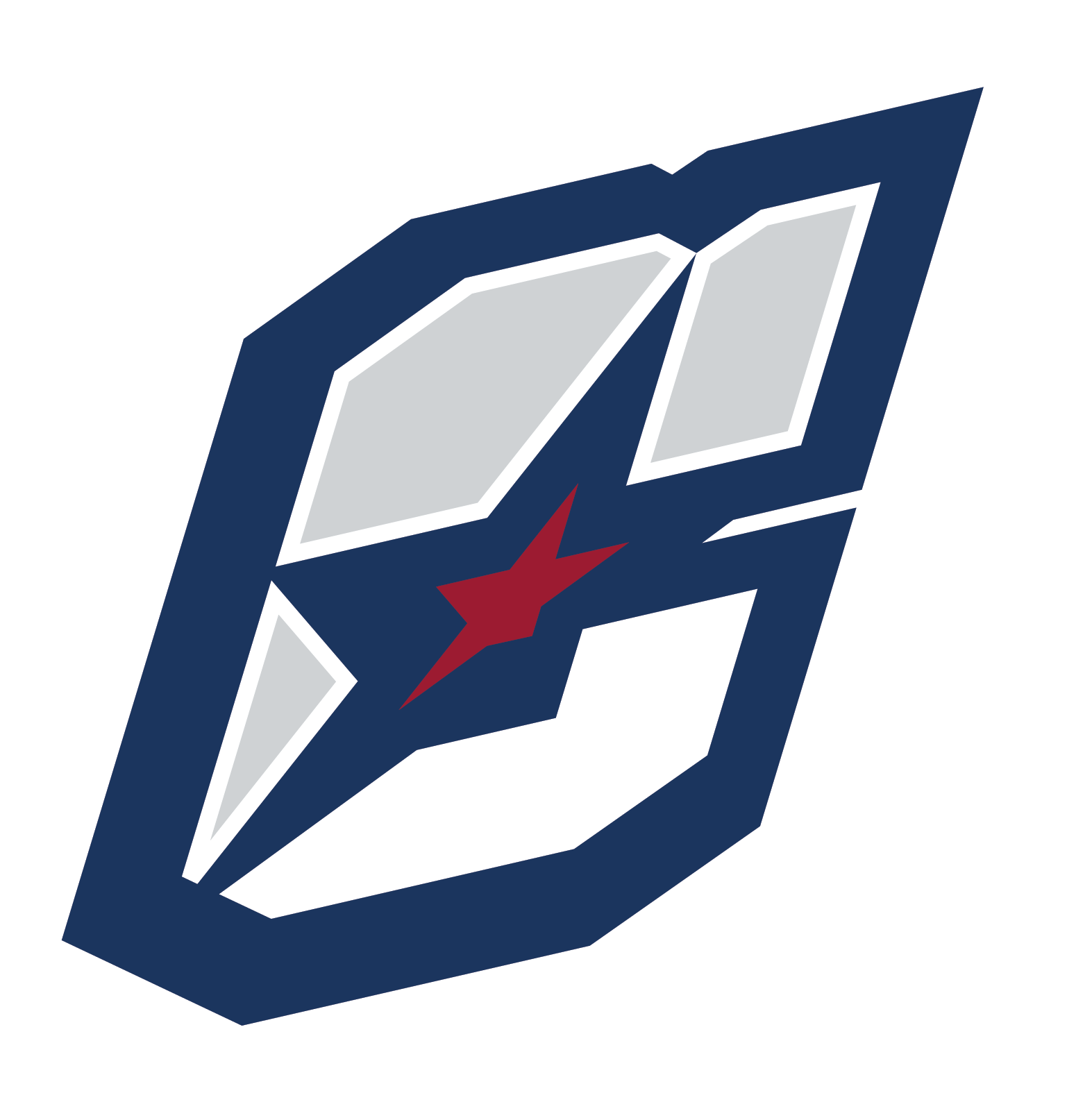 Capital Water Polo